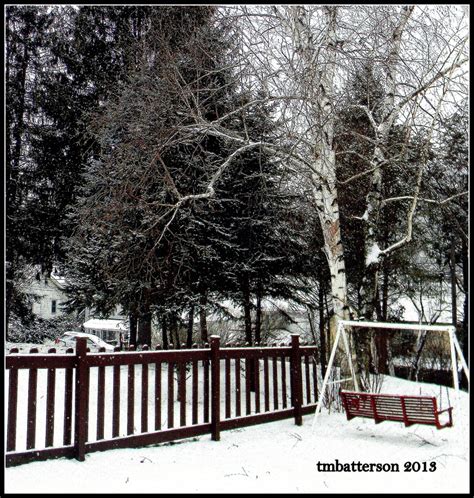 winter in Potter County | Potter county, Outdoor, Winter