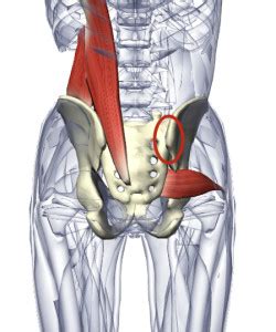 Sacroiliac Joint Dysfunction Treatment | Burlington Physiotherapy Clinic