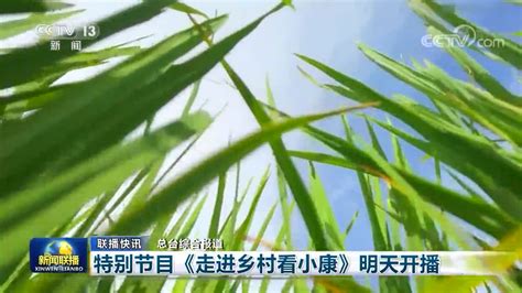 中央广播电视总台特别节目《走进乡村看小康》10日开播农民广播电视总台新浪新闻