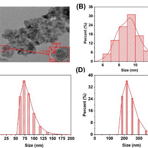 A Transmission Electron Micrographs And B Particle Size Distribution