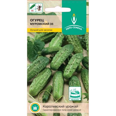 Огурец Муромский 36: характеристика и описание гибридного сорта с фото