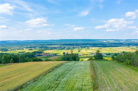 Green Fields Aerial View Before Harvest At Summer Aerial View Of Green