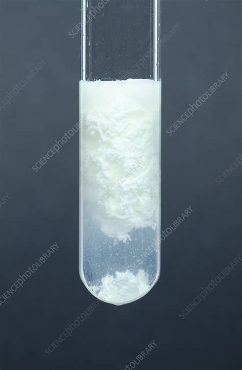 Silver carbonate precipitate - Stock Image C028/0960 - Science Photo Library