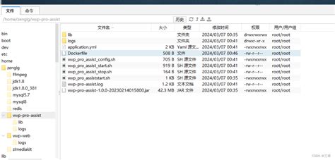 Wvp Pro Assist Docker Wvp Pro Docker Csdn