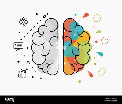 Human Brain Hemisphere Concept Illustration Of Rational And Creative