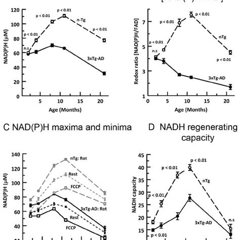 Age And Genotype Of Neurons Affects Nad P H Concentration Redox Ratio