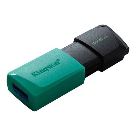 Kingston USB 3 2 Gen1 USB Minne 256GB DTXM 256GB Billigteknik Se