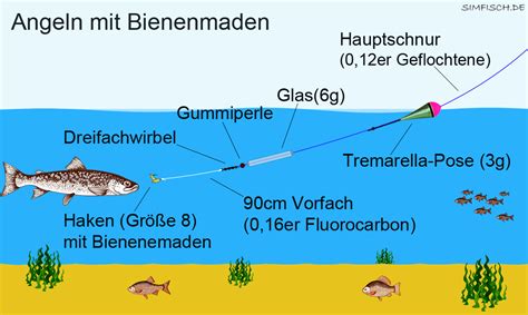 Angeln mit Bienenmaden Zielfische Montage Ausrüstung Angeln