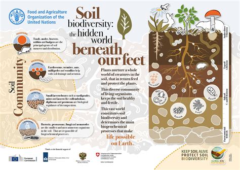 Resources — Global Soil Biodiversity Initiative