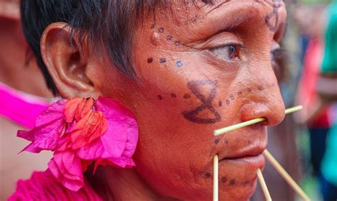 Yanomami Os Agentes E Fatores Que Causaram O Colapso Socioeconômico Na