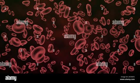 Illustration of magnification of flowing red blood cells Stock Photo ...