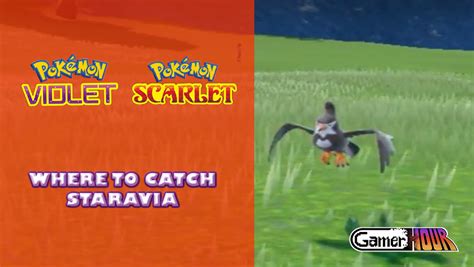 Pokemon Scarlet Violet Where To Catch Staravia Gamerhour