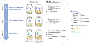 Substrate And Community Regulations On Microbial Necromass Accumulation