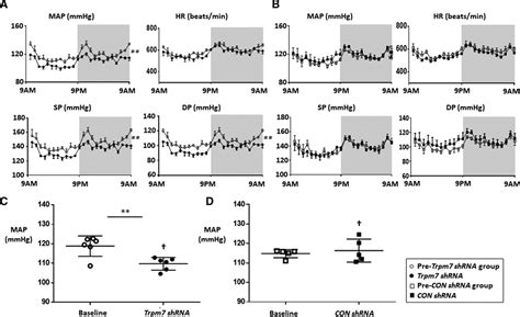 Pharmacological And Genetic Blockade Of Trpm7 In The Carotid Body