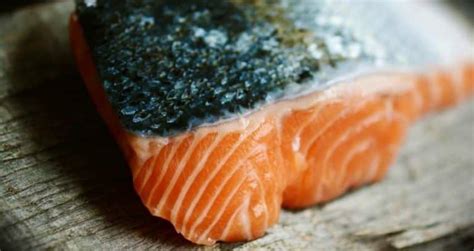 Worms In Your Farm Raised Salmon Facts And Myths Revealed