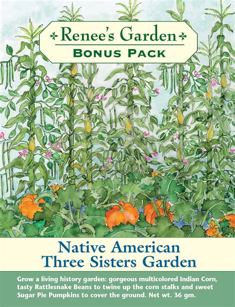 'Native American Three Sisters Garden' Bonus Pack | Renee's Garden Seeds