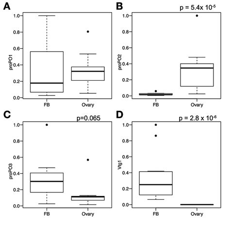 Ovaries Produce Phenoloxidase Po In The Cricket Gene Expression