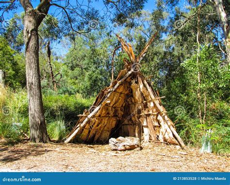 Traditional House Of Indigenous Australian People Made Of Paperbark