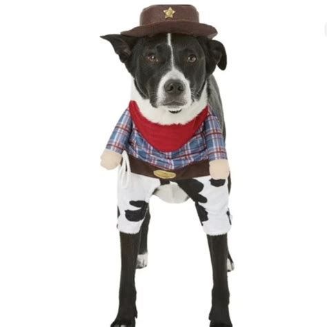 Frisco Dog Frisco Front Walking Cowboy Dog Costume Poshmark