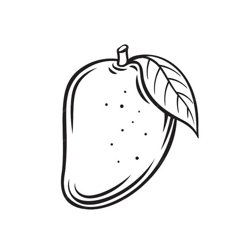 Premium Vector Mango Fruit Outline Icon Drawing Monochrome