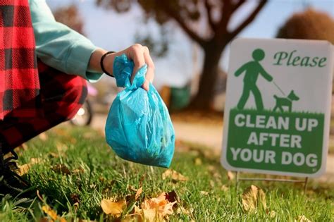 Biodegradable Dog Poop Bags: The Future Of Eco-Product