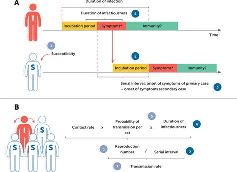 Fig 2 A Schematic Representation Of The Sexual Transmission Of Zika