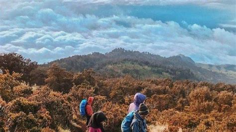 Jalur Pendakian Gunung Arjuno Welirang Dibuka Kembali 5 September 2020