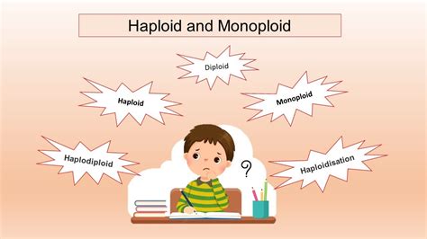 Haploid and Monoploid|| Ploidy- Haploid, Monoploid, Diploid ...