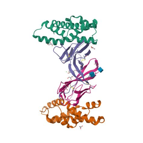 RCSB PDB 5MR3 Crystal Structure Of Red Abalone Egg VERL Repeat 2