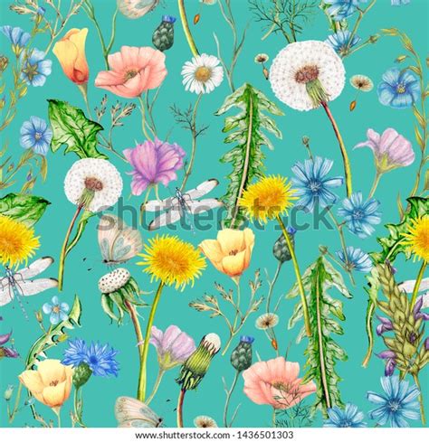 Hand Drawn Botanical Seamless Pattern Garden Stock Illustration