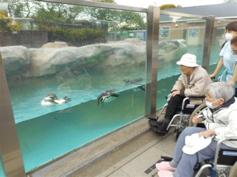 東武動物公園に遠足に行ってきました！ 【宮代町の介護施設】介護老人保健施設はーとぴあ