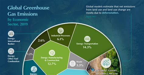 The Domino Effects Of Tropical Deforestation