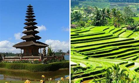 Objek Wisata Di Bali Yang Cocok Untuk Orang Tua Tour Murah Di Bali