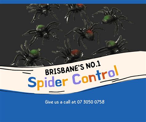 Spider Control Brisbane U7dayspest