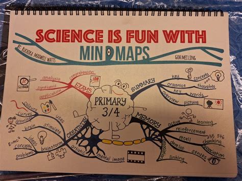 Science P3/P4 Mind Map, Hobbies & Toys, Books & Magazines, Textbooks on ...