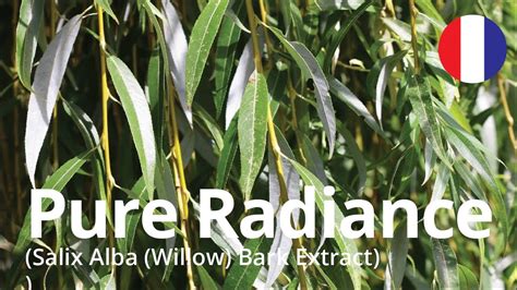 Pure Radiance Salix Alba Willow Bark Extract French Ver Youtube