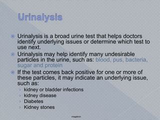 Kidney function test | PPT