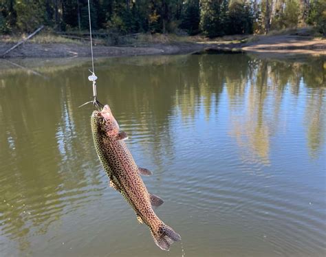 16 Hidden Things to Do in Pigeon Forge (Not Just Unique)