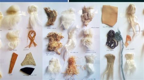 Different Types Of Fibers Explained