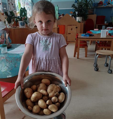 Kinder Ernten Kartoffeln Wir In Dortmund