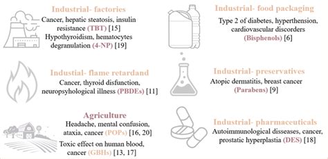 Sources Of Endocrine Disruptor Chemicals Edcs And Their Effect On The