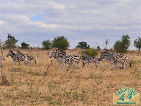 Namibia Botswana Cataratas Victoria Raid Kalahari Territori 4x4