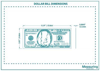 Dollar Bill Dimensions – All You Need to Know - MeasuringKnowHow