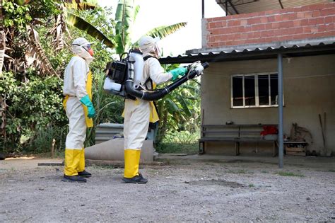 Barra Mansa Segue Trabalho De Preven O E Combate A Mosquitos