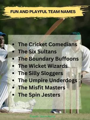 144 Cricket Team Names Best Ideas For Every Cricket Lover