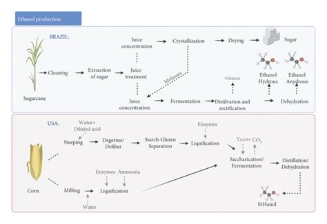 Ethanol Production Process Using Corn In USA And Sugarcane In