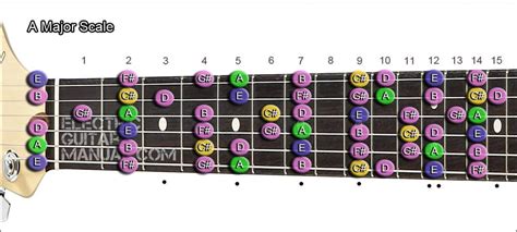 How to Learn Guitar Scales - Electric Guitar Manual