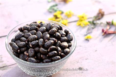 Kottaimuthu Castor Seeds Benefits