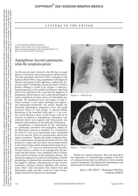 (PDF) Aspergilloma: beyond a pneumonia, when the symptoms persist