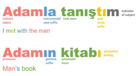 3.3 Morphology of Different Languages – Psychology of Language